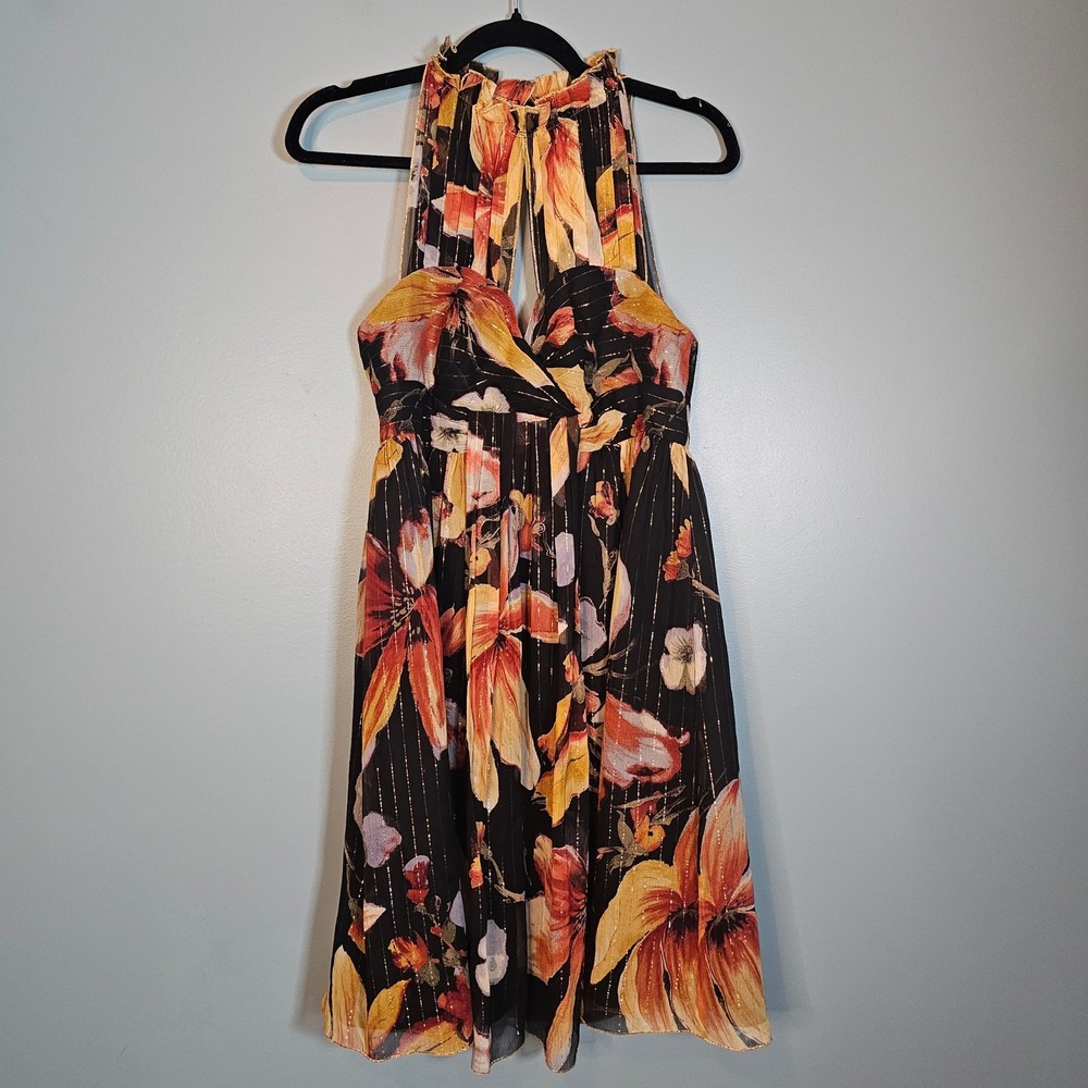 Anna‎ Sui Anthropologie Black Floral Metallic Lined Halter Maxi Dress Size 6